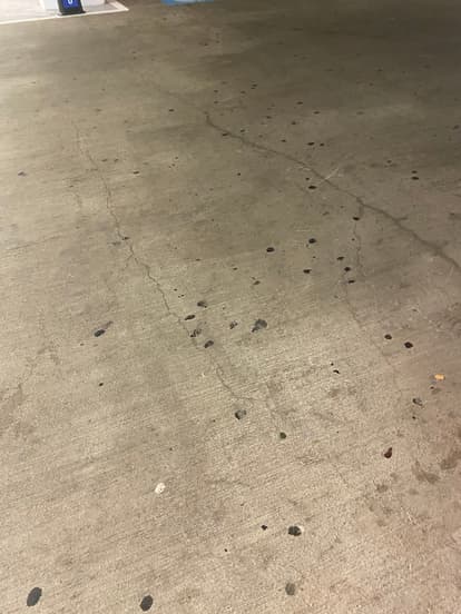 SC Waterproofing Case Study 3